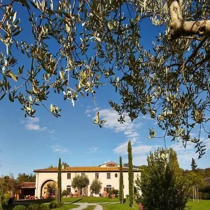 Ai Condotti Di Pisa Da Filippo Bed & Breakfast